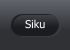 Siku